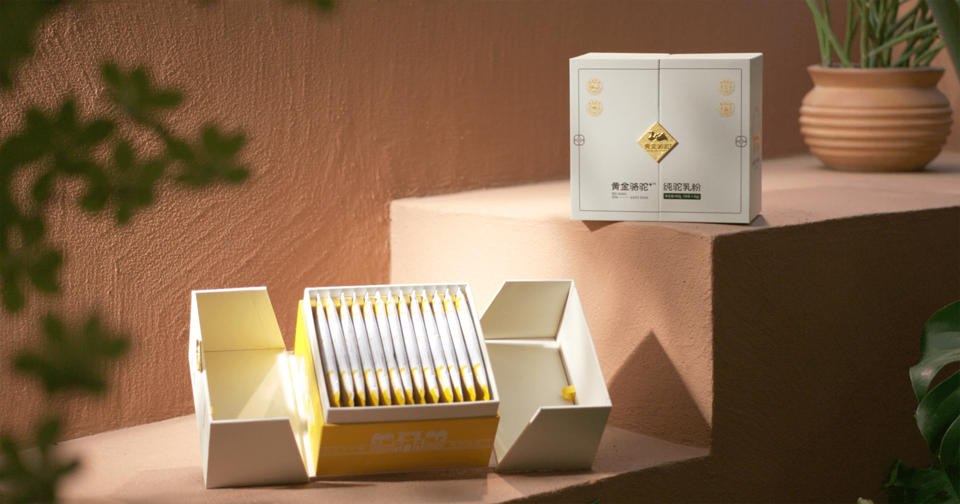 定位小众高端乳粉，ag亚娱推出驼奶品牌“黄金骆驼+”，角逐乳品新市场！